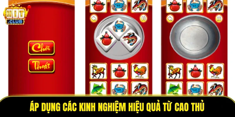 Áp dụng các kinh nghiệm hiệu quả từ cao thủ