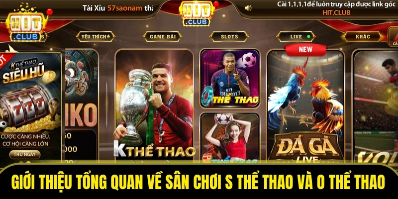 Giới thiệu tổng quan về sân chơi S thể thao và O thể thao
