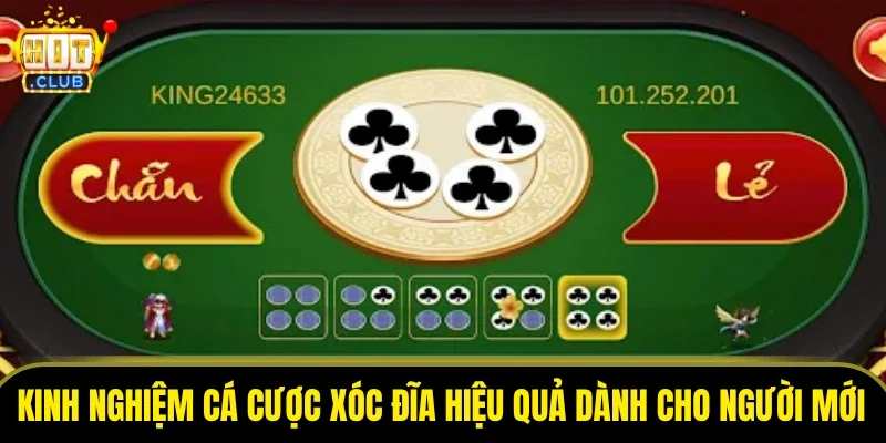 Kinh nghiệm cá cược xóc đĩa hiệu quả dành cho người mới