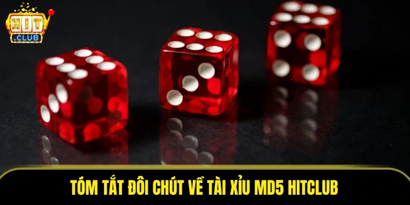 Tóm tắt đôi chút về tài xỉu MD5 HITCLUB